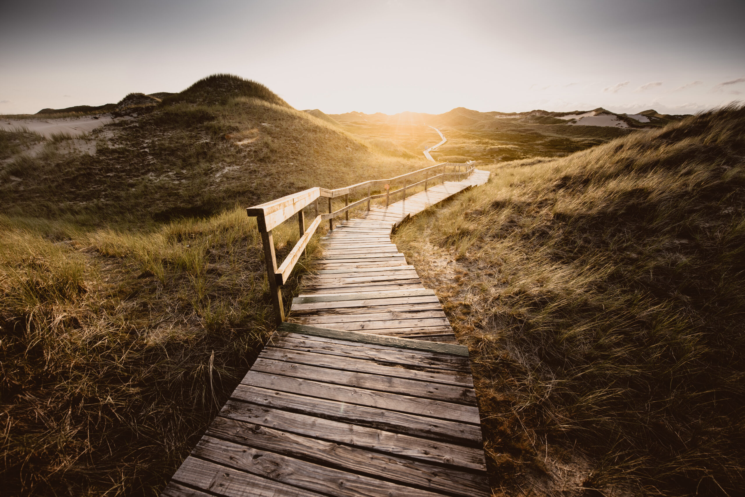 Way through the dunes Boardwalk through the dunes, Amrum, Germany